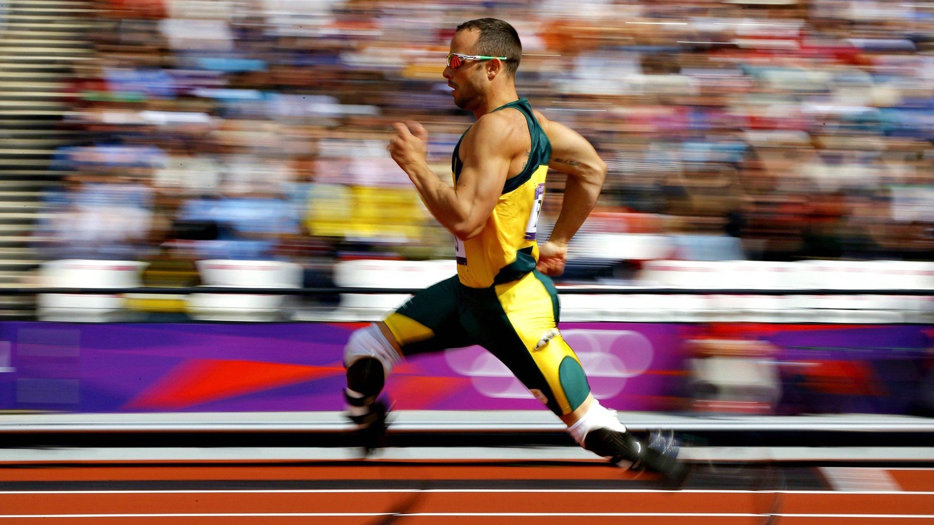 开云平台-足球行业报告显示大众关注度持续增长，足球受众