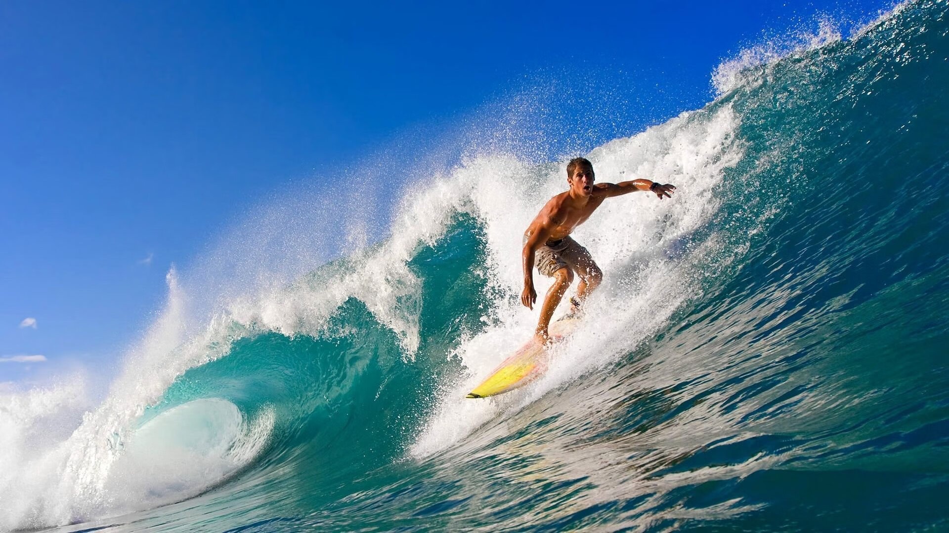 开云官方网页登录-深度解析射击预赛排名分布特点，射击赛程表