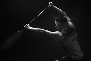 开云·体育官网-全民健身摄影作品展览走进体育馆大厅，体育运动摄影作品展