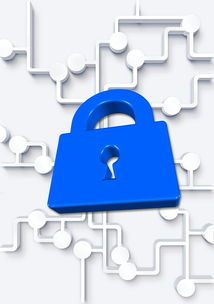 开云体育官方下载-高校体育社团管理数字化平台构建方案，全国性体育社团